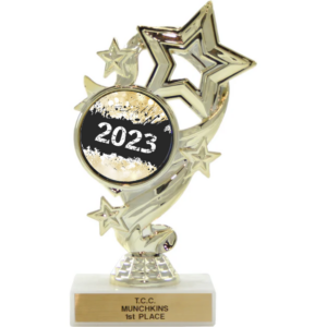 Activity Insert Star Trophy