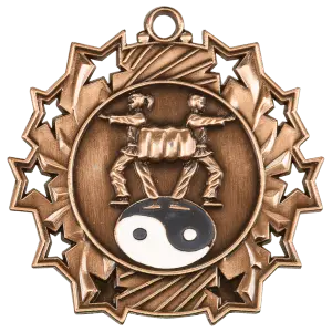 Martial Arts Ten Star Medal
