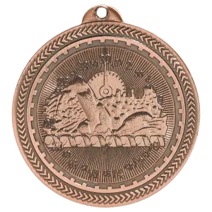 Swimming BriteLazer Medal