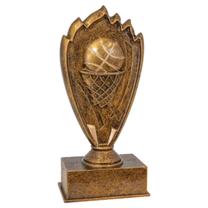 Basketball Blaze Award