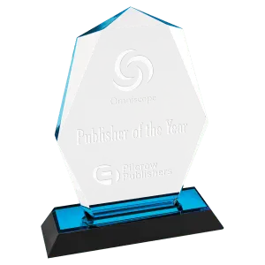 Blue Octagon Point Impress Acrylic