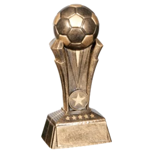 Soccer Champion Award