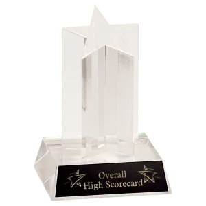 Clear Single Star Column Acrylic with Clear Base