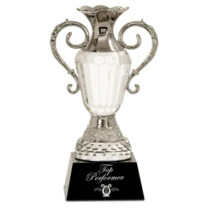 Crystal Cup with Silver Metal Handles