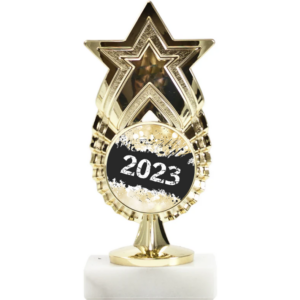 Exclusive Star Figure Award Trophy