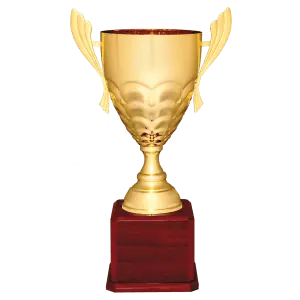 Gold Metal Cup
