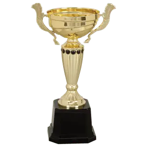 Gold Metal Cup