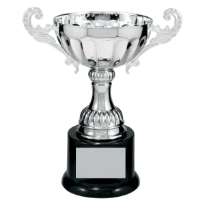 Silver Metal Cup
