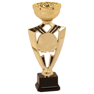 Gold Metal Cup