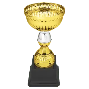 Gold/Silver Metal Cup
