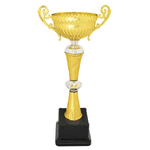 Gold/Silver Metal Cup