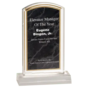 Large Black Marbleized Acrylic