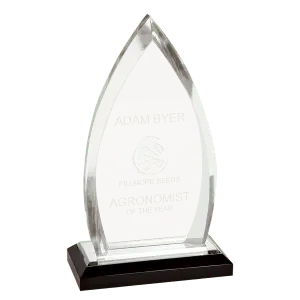 Silver Oval Impress Acrylic