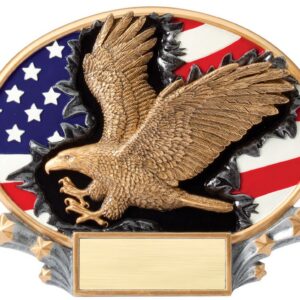 American Eagle Awards