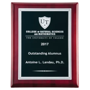 Textured Black/Silver Florentine Border Plate/on a Rosewood Piano Finish Plaque