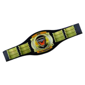 Championship Belt W/12 Plates
