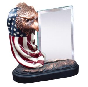 RESIN EAGLE & FLAG W ITH GLASS