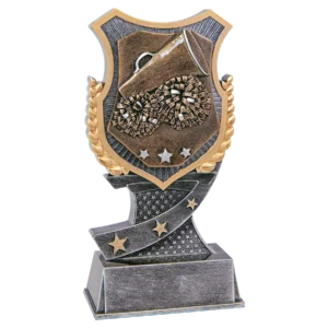 Cheer Shield Award