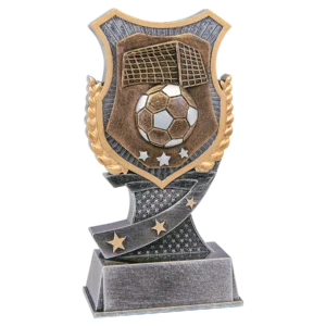 Soccer Shield Award