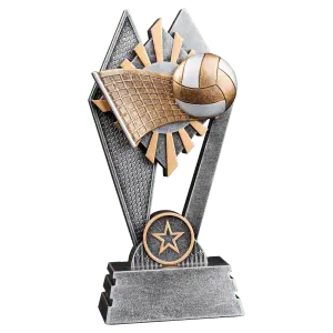 Volleyball Sun Ray Award