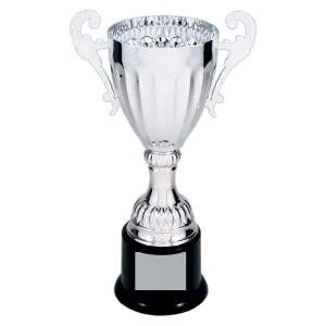 Silver Metal Cup