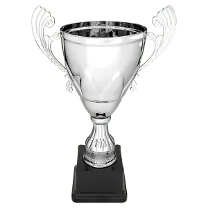 Silver Metal Cup