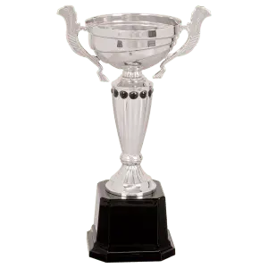 Silver Metal Cup