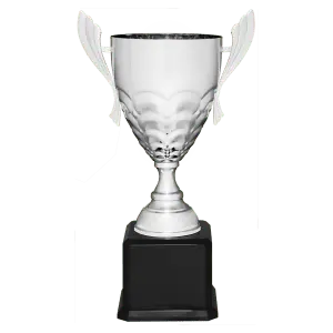Silver Metal Cup