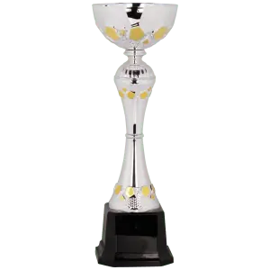 Silver/Gold Metal Cup