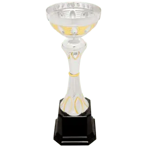 Silver/Gold Metal Cup