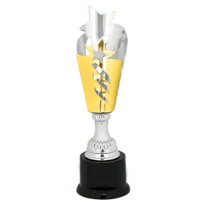 Silver/Gold Star Metal Cup