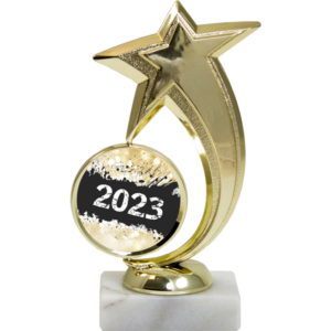 Gold Shooting Star Award With Insert