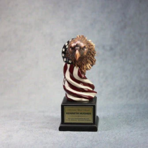 Eagle Head With The American Flag