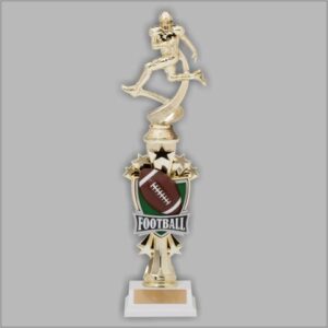ASSEM MOTION TROPHY FOOTBALL