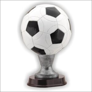 SOCCER BALL, WHITE WITH BLACK