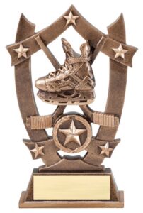 3D SPORT STARS HOCKEY