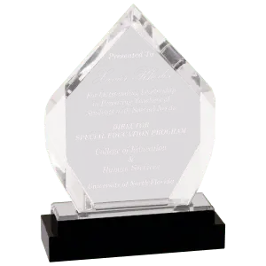 Silver Fusion Diamond Impress Acrylic with Black Glass Base