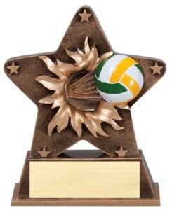 STAR BURST RESIN VOLLEYBALL