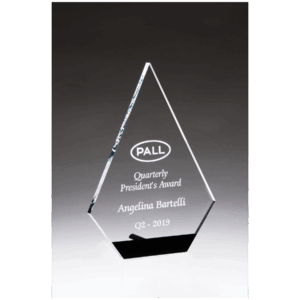 Diamond Series Clear Acrylic with Black Accent and Silver Post