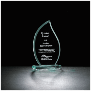 Flame Series Glass Award