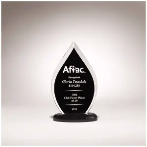 Flame Series Black Silk Screened Clear Acrylic