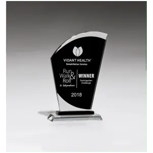 Sail Shaped Glass Award with Black Center